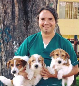 Juan Manuel Vásquez criador de Jack Russell Terrier